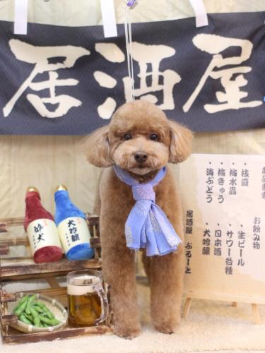 20240621ぷぷくん